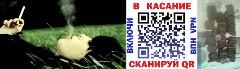 Купить наркотик аптеки Новоалтайск Кокаин Меф мяу мяу APVP Псилоцибиновые грибы ГАШИШ