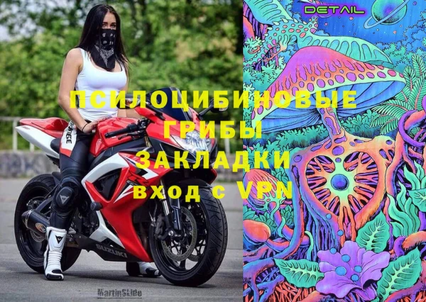 дурь Белоозёрский