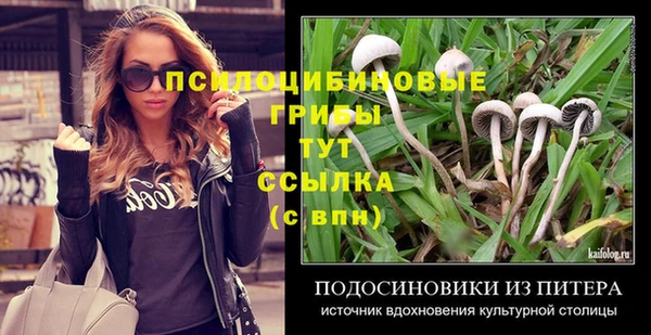 стаф Белокуриха
