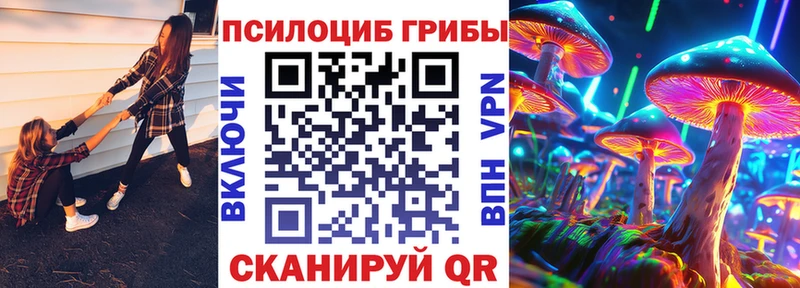 даркнет сайт  Новоалтайск  Галлюциногенные грибы Magic Shrooms 